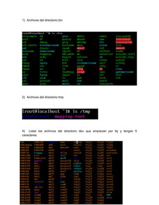 Ejercicios Basicos Sobre Linux | DOC