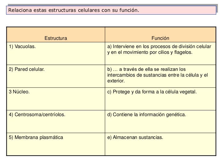 Relaciona estas estructuras celulares con su función.                Estructura                                  Función1)...