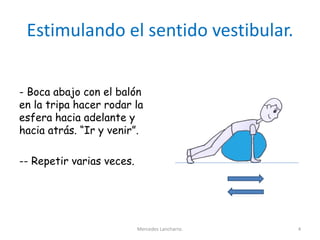 Estimulando el sentido vestibular.
- Boca abajo con el balón
en la tripa hacer rodar la
esfera hacia adelante y
hacia atrás. “Ir y venir”.
-- Repetir varias veces.
Mercedes Lancharro. 4
 