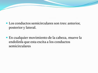  Los conductos semicirculares son tres: anterior,
posterior y lateral.
 En cualquier movimiento de la cabeza, mueve la
endolinfa que esta excita a los conductos
semicirculares
 