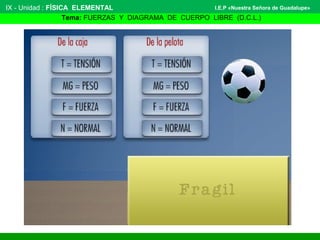 IX - Unidad : FÍSICA ELEMENTAL
Tema: FUERZAS Y DIAGRAMA DE CUERPO LIBRE (D.C.L.)
I.E.P «Nuestra Señora de Guadalupe»
 