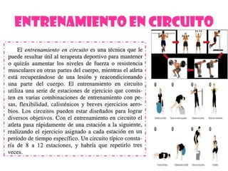 Ejercicios de fortalecimiento 