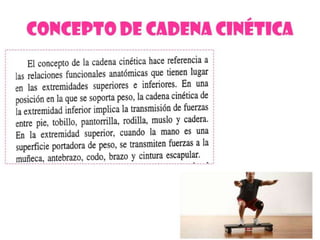 Ejercicios de fortalecimiento 