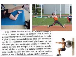 Ejercicios de fortalecimiento 