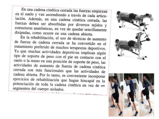 Ejercicios de fortalecimiento 