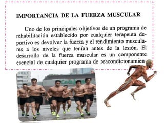 Ejercicios de fortalecimiento 