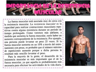 Ejercicios de fortalecimiento 