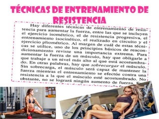 Ejercicios de fortalecimiento 