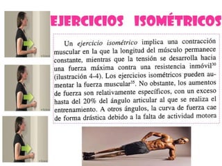 Ejercicios de fortalecimiento 