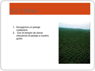 3.2.1 Selva.
1. Escogemos un paisaje
cualquiera.
2. Con el tampón de clonar
retocamos el paisaje a nuestro
gusto.
 