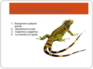 2.2.2. Fotomontaje iguana.
1. Escogemos cualquier
animal.
2. Recortamos la cola.
3. Copiamos y pegamos.
4. La mueves a tu gusto.
 