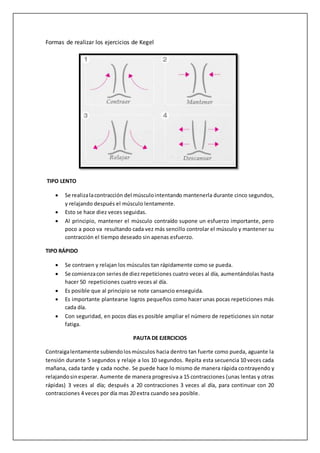 Formas de realizar los ejercicios de Kegel
TIPO LENTO
 Se realizalacontracción del músculointentando mantenerla durante cinco segundos,
y relajando después el músculo lentamente.
 Esto se hace diez veces seguidas.
 Al principio, mantener el músculo contraído supone un esfuerzo importante, pero
poco a poco va resultando cada vez más sencillo controlar el músculo y mantener su
contracción el tiempo deseado sin apenas esfuerzo.
TIPO RÁPIDO
 Se contraen y relajan los músculos tan rápidamente como se pueda.
 Se comienzacon seriesde diezrepeticiones cuatro veces al día, aumentándolas hasta
hacer 50 repeticiones cuatro veces al día.
 Es posible que al principio se note cansancio enseguida.
 Es importante plantearse logros pequeños como hacer unas pocas repeticiones más
cada día.
 Con seguridad, en pocos días es posible ampliar el número de repeticiones sin notar
fatiga.
PAUTA DE EJERCICIOS
Contraigalentamente subiendolosmúsculos hacia dentro tan fuerte como pueda, aguante la
tensión durante 5 segundos y relaje a los 10 segundos. Repita esta secuencia 10 veces cada
mañana, cada tarde y cada noche. Se puede hace lo mismo de manera rápida contrayendo y
relajandosinesperar. Aumente de manera progresiva a 15 contracciones (unas lentas y otras
rápidas) 3 veces al día; después a 20 contracciones 3 veces al día, para continuar con 20
contracciones 4 veces por día mas 20 extra cuando sea posible.
 