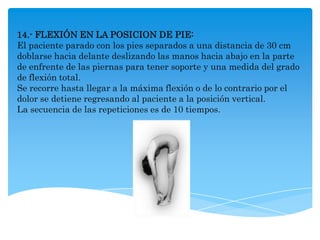 14.- FLEXIÓN EN LA POSICION DE PIE:
El paciente parado con los pies separados a una distancia de 30 cm
doblarse hacia delante deslizando las manos hacia abajo en la parte
de enfrente de las piernas para tener soporte y una medida del grado
de flexión total.
Se recorre hasta llegar a la máxima flexión o de lo contrario por el
dolor se detiene regresando al paciente a la posición vertical.
La secuencia de las repeticiones es de 10 tiempos.
 