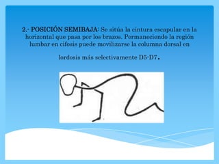 2.- POSICIÓN SEMIBAJA: Se sitúa la cintura escapular en la
 horizontal que pasa por los brazos. Permaneciendo la región
   lumbar en cifosis puede movilizarse la columna dorsal en

            lordosis más selectivamente D5-D7 .
 