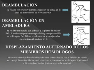 DEAMBULACIÓN
Se realiza con brazos y piernas opuestos y se utiliza en el
caso de tratamientos de escoliosis en C.
DEAMBULACIÓN EN
AMBLADURA
Se realiza una marcha con el brazo y la pierna del mismo
lado. Las cinturas permanecen paralelos y aunque también
se utiliza para flexibilizar la columna, se aconseja en las
escoliosis combinadas o en S.
DESPLAZAMIENTO ALTERNADO DE LOS
MIEMBROS HOMOLOGOS
Se hace avanzar los dos miembro superiores y tras ellos los dos inferiores. Se intenta
así corregir las deformidades en el plano lateral, como suelen ser la hipercifosis dorsal
e hiperlordosis lumbar (íntimamente relacionadas).
 