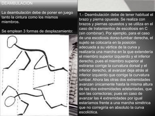 DEAMBULACION
La deambulación debe de poner en juego
tanto la cintura como los mismos
miembros.
Se emplean 3 formas de desplazamiento:
1.- Deambulación debe de tener habitual el
brazo y pierna opuesta. Se realiza con
brazos y piernas opuestos y se utiliza en el
caso de tratamientos de escoliosis en C
(sin combinar). Por ejemplo, para el caso
de una escoliosis dorso-lumbar derecha, el
sujeto se colocaría en la posición
adecuada a su vértice de la curva y
realizaría una marcha en la que extendería
el miembro superior izquierdo y el inferior
derecho, pues el miembro superior al
estirarse corrige la curvatura dorsal y el
inferior derecho, al avanzar deja atrás al
inferior izquierdo que corrige la curvatura
lumbar. Ahora las otras dos extremidades
avanzan únicamente hasta la misma altura
de las dos extremidades adelantadas, que
son las correctoras; pues en caso de
avanzar las 4 extremidades por igual
estaríamos frente a una marcha simétrica
que no corregiría en absoluto la curva
escoliótica.
 