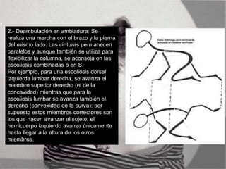 2.- Deambulación en ambladura: Se
realiza una marcha con el brazo y la pierna
del mismo lado. Las cinturas permanecen
paralelos y aunque también se utiliza para
flexibilizar la columna, se aconseja en las
escoliosis combinadas o en S.
Por ejemplo, para una escoliosis dorsal
izquierda lumbar derecha, se avanza el
miembro superior derecho (el de la
concavidad) mientras que para la
escoliosis lumbar se avanza también el
derecho (convexidad de la curva); por
supuesto estos miembros correctores son
los que hacen avanzar al sujeto; el
hemicuerpo izquierdo avanza únicamente
hasta llegar a la altura de los otros
miembros.
 