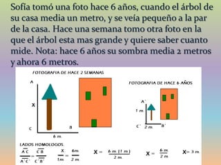 Sofía tomó una foto hace 6 años, cuando el árbol de
su casa media un metro, y se veía pequeño a la par
de la casa. Hace una semana tomo otra foto en la
que el árbol esta mas grande y quiere saber cuanto
mide. Nota: hace 6 años su sombra media 2 metros
y ahora 6 metros.
 