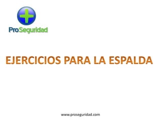 www.proseguridad.com
 