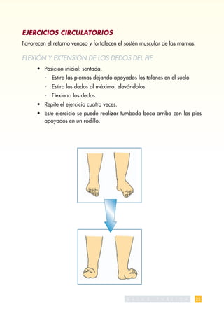 EJERCICIOS CIRCULATORIOS
Favorecen el retorno venoso y fortalecen el sostén muscular de las mamas.

FLEXIÓN Y EXTENSIÓN DE LOS DEDOS DEL PIE
      • Posición inicial: sentada.
         - Estira las piernas dejando apoyados los talones en el suelo.
         - Estira los dedos al máximo, elevándolos.
         - Flexiona los dedos.
      • Repite el ejercicio cuatro veces.
      • Este ejercicio se puede realizar tumbada boca arriba con los pies
        apoyados en un rodillo.




                                            S A   L   U   D   P   U   B   L   I   C   A   23
 