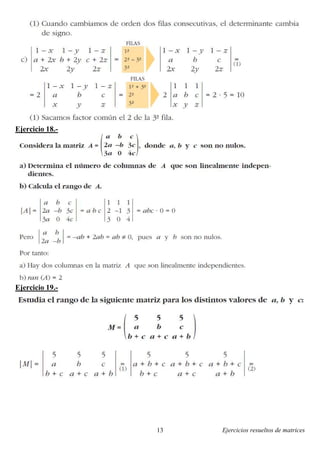Ejercicios resueltos de matrices13
Ejercicio 18.-
Ejercicio 19.-
 