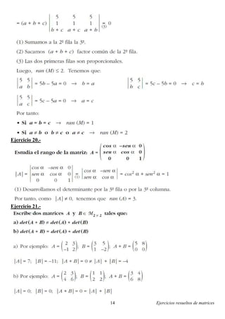 Ejercicios resueltos de matrices14
Ejercicio 20.-
Ejercicio 21.-
 