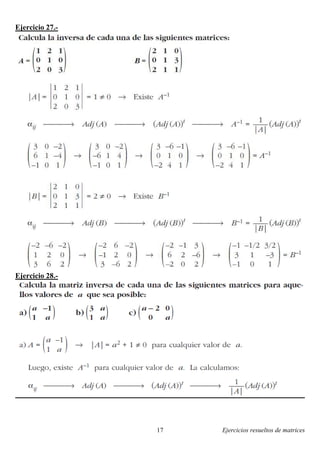 Ejercicios resueltos de matrices17
Ejercicio 27.-
Ejercicio 28.-
 