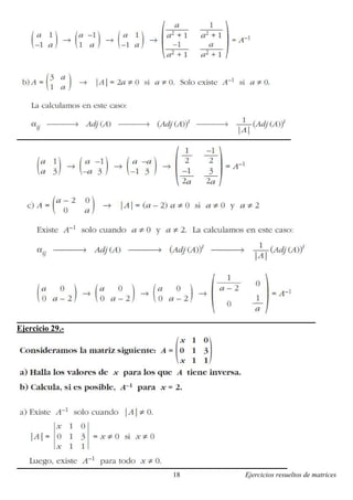 Ejercicios resueltos de matrices18
Ejercicio 29.-
 