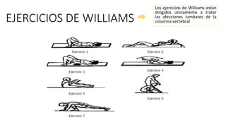 EJERCICIOS DE WILLIAMS
Los ejercicios de Williams están
dirigidos únicamente a tratar
las afecciones lumbares de la
columna vertebral
 