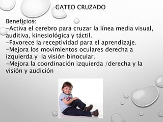 GATEO CRUZADO
Beneficios:
-Activa el cerebro para cruzar la línea media visual,
auditiva, kinesiológica y táctil.
-Favorece la receptividad para el aprendizaje.
-Mejora los movimientos oculares derecha a
izquierda y la visión binocular.
-Mejora la coordinación izquierda /derecha y la
visión y audición
 