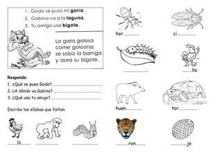 Responde:
1. ¿Qué se puso Godo?………………………………………………
2. ¿A dónde va Gabina?……………………………………………
3. ¿Qué usa tu amigo?………………………………………………
Escribe las sílabas que faltan.
………lli……… ………………… ……………………
hor…………… ci………………
…………………… ………llo
huan…………… tor………………
…………ron……… ……………je
 