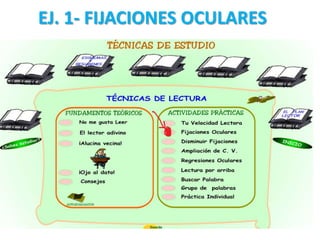 EJ. 1- FIJACIONES OCULARES
 