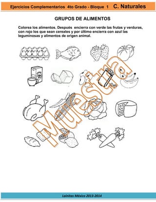 Lainitas México 2013-2014
GRUPOS DE ALIMENTOS
Colorea los alimentos. Después encierra con verde las frutas y verduras,
con rojo los que sean cereales y por último encierra con azul las
leguminosas y alimentos de origen animal.
Ejercicios Complementarios 4to Grado - Bloque 1 C. Naturales
 
