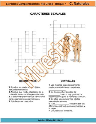 Lainitas México 2013-2014
CARACTERES SEXUALES
HORIZONTALES VERTICALES
2. En ellos se producen las células
sexuales masculinas.
5. Nombre que recibe el proceso de la
unión del óvulo con el espermatozoide.
8. Capacidad que tienen los seres vivos
para engendrar nuevos individuos.
9. Célula sexual masculina.
1. Las mujeres están sexualmente
maduras cuando tienen su primera
_______________
3. Se dice que hay equidad de
__________ cuando hay igualdad de
oportunidades para el hombre y la mujer.
4. En ellos se producen las células
sexuales femeninas.
6. Los ____________ sexuales son las
diferencias entre el cuerpo del hombre y
la mujer.
7. Célula sexual femenina.
Ejercicios Complementarios 4to Grado - Bloque 1 C. Naturales
 