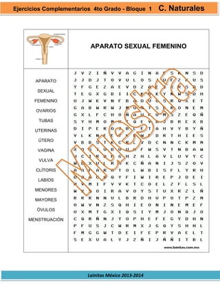 Lainitas México 2013-2014
APARATO SEXUAL FEMENINO
APARATO
SEXUAL
FEMENINO
OVARIOS
TUBAS
UTERINAS
ÚTERO
VAGINA
VULVA
CLÍTORIS
LABIOS
MENORES
MAYORES
ÓVULOS
MENSTRUACIÓN
Ejercicios Complementarios 4to Grado - Bloque 1 C. Naturales
 