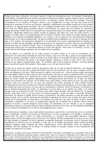 23
Primero fue una confusión, un atraer hacia sí todas las sensaciones por un instante embotadas o
confundidas. Comprendía que estaba corriendo en plena oscuridad, aunque arriba el cielo cruzado de
copas de árboles era menos negro que el resto. "La calzada", pensó. "Me salí de la calzada." Sus pies
se hundían en un colchón de hojas y barro, y ya no podía dar un paso sin que las ramas de los
arbustos le azotaran el torso y las piernas. Jadeante, sabiéndose acorralado a pesar de la oscuridad y
el silencio, se agachó para escuchar. Tal vez la calzada estaba cerca, con la primera luz del día iba a
verla otra vez. Nada podía ayudarlo ahora a encontrarla. La mano que sin saberlo él, aferraba el
mango del puñal, subió como un escorpión de los pantanos hasta su cuello, donde colgaba el amuleto
protector. Moviendo apenas los labios musitó la plegaria del maíz que trae las lunas felices, y la
súplica a la Muy Alta, a la dispensadora de los bienes motecas. Pero sentía al mismo tiempo que los
tobillos se le estaban hundiendo despacio en el barro, y al la espera en la oscuridad del chaparral
desconocido se le hacía insoportable. La guerra florida había empezado con la luna y llevaba ya tres
días y tres noches. Si conseguía refugiarse en lo profundo de la selva, abandonando la calzada más
allá de la región de las ciénagas, quizá los guerreros no le siguieran el rastro. Pensó en la cantidad de
prisioneros que ya habrían hecho. Pero la cantidad no contaba, sino el tiempo sagrado. La caza
continuaría hasta que los sacerdotes dieran la señal del regreso. Todo tenía su número y su fin, y él
estaba dentro del tiempo sagrado, del otro lado de los cazadores.
Oyó los gritos y se enderezó de un salto, puñal en mano. Como si el cielo se incendiara en el
horizonte, vio antorchas moviéndose entre las ramas, muy cerca. El olor a guerra era insoportable, y
cuando el primer enemigo le saltó al cuello casi sintió placer en hundirle la hoja de piedra en pleno
pecho. Ya lo rodeaban las luces y los gritos alegres. Alcanzó a cortar el aire una o dos veces, y
entonces una soga lo atrapó desde atrás. -Es la fiebre -dijo el de la cama de al lado-. A mí me pasaba
igual cuando me operé del duodeno. Tome agua y va a ver que duerme bien.
Al lado de la noche de donde volvía la penumbra tibia de la sala le pareció deliciosa. Una lámpara
violeta velaba en lo alto de la pared del fondo como un ojo protector. Se oía toser, respirar fuerte, a
veces un diálogo en voz baja. Todo era grato y seguro, sin acoso, sin... Pero no quería seguir pensando
en la pesadilla. Había tantas cosas en qué entretenerse. Se puso a mirar el yeso del brazo, las poleas
que tan cómodamente se lo sostenían en el aire. Le habían puesto una botella de agua mineral en la
mesa de noche. Bebió del gollete, golosamente. Distinguía ahora las formas de la sala, las treinta
camas, los armarios con vitrinas. Ya no debía tener tanta fiebre, sentía fresca la cara. La ceja le dolía
apenas, como un recuerdo. Se vio otra vez saliendo del hotel, sacando la moto. Quién hubiera
pensado que la cosa iba a acabar así? Trataba de fijar el momento del accidente, y le dio rabia advertir
que había ahí como un hueco, un vacío que no alcanzaba a rellenar. Entre el choque y el momento en
que lo habían levantado del suelo, un desmayo o lo que fuera no le dejaba ver nada. Y al mismo
tiempo tenía la sensación de que ese hueco, esa nada, había durado una eternidad. No, ni siquiera
tiempo, más bien como si en ese hueco él hubiera pasado a través de algo o recorrido distancias
inmensas. El choque, el golpe brutal contra el pavimento. De todas maneras al salir del pozo negro
había sentido casi un alivio mientras los hombres lo alzaban del suelo. Con el dolor del brazo roto, la
sangre de la ceja partida, la contusión en la rodilla; con todo eso, un alivio al volver al día y sentirse
sostenido y auxiliado. Y era raro. Le preguntaría alguna vez al médico de la oficina. Ahora volvía a
ganarlo el sueño, a tirarlo despacio hacia abajo. La almohada era tan blanda, y en su garganta
afiebrada la frescura del agua mineral. Quizá pudiera descansar de veras, sin las malditas pesadillas.
La luz violeta de la lámpara en lo alto se iba apagando poco a poco.
Como dormía de espaldas, no lo sorprendió la posición en que volvía a reconocerse, pero en cambio el
olor a humedad, a piedra rezumante de filtraciones, le cerró la garganta y lo obligó a comprender.
Inútil abrir los ojos y mirar en todas direcciones; lo envolvía una oscuridad absoluta. Quiso
enderezarse y sintió las sogas en las muñecas y los tobillos. Estaba estaqueado en el piso, en un suelo
de lajas helado y húmedo. El frió le ganaba la espalda desnuda, las piernas. Con el mentón buscó
torpemente el contacto con su amuleto, y supo que se lo habían arrancado. Ahora estaba perdido,
ninguna plegaria podía salvarlo del final. Lejanamente, como filtrándose entre las piedras del
calabozo, oyó los atabales de la fiesta. Lo habían traído al teocalli, estaba en las mazmorras del
templo a la espera de su turno.
Oyó gritar, un grito ronco que rebotaba en las paredes. Otro grito, acabando en un quejido. Era él que
gritaba en las tinieblas, gritaba porque estaba vivo, todo su cuerpo se defendía con el grito de lo que
iba a venir, del final inevitable. Pensó en sus compañeros que llenarían otras mazmorras, y en los que
ascendían ya los peldaños del sacrificio. Gritó de nuevo sofocadamente, casi no podía abrir la boca,
 