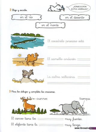 Ejercicios ortográficos 1