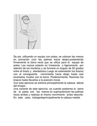 De pie, utilizando un equipo con polea, se colocan las manos
en pronación (con las palmas hacia abajo),sosteniendo
firmemente la barra recta que se utiliza para el equipo de
polea. Las manos estarán en línearecta o ligeramente por
adentro de los hombros y se formará un ángulo de 90 grados
entre el brazo y elantebrazo.Luego se extenderán los brazos
con el consiguiente movimiento hacia abajo hasta casi
tocarselos muslos con la barra. Posteriormente, flexionas los
brazos hasta llevarlos a la posición inicial.
Con este ejercicio se entrena principalmente la cabeza lateral
del tríceps.
Una variante de este ejercicio, es cuando sostienes la barra
de la polea con las manos en supinación(con las palmas
hacia arriba) y realizas el mismo movimiento antes descrito.
En este caso, trabajarásprincipalmente la cabeza medial.
 