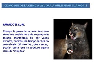 AMANDO EL AURA Coloque la palma de su mano tan cerca como sea posible de la de su pareja sin tocarla. Mantengala así por varios minutos, durante ese tiempo sentirá no solo el calor del otro sino, que a veces,  podrán sentir que se produce alguna clase de “chispitas”  