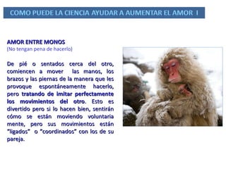 AMOR ENTRE MONOS  (No tengan pena de hacerlo) De pié o sentados cerca del otro, comiencen a mover  las manos, los brazos y las piernas de la manera que les provoque espontáneamente hacerlo, pero  tratando de imitar perfectamente los movimientos del otro . Esto es divertido pero si lo hacen bien, sentirán cómo se están moviendo voluntaria mente, pero sus movimientos están “ligados”  o “coordinados” con los de su pareja. 