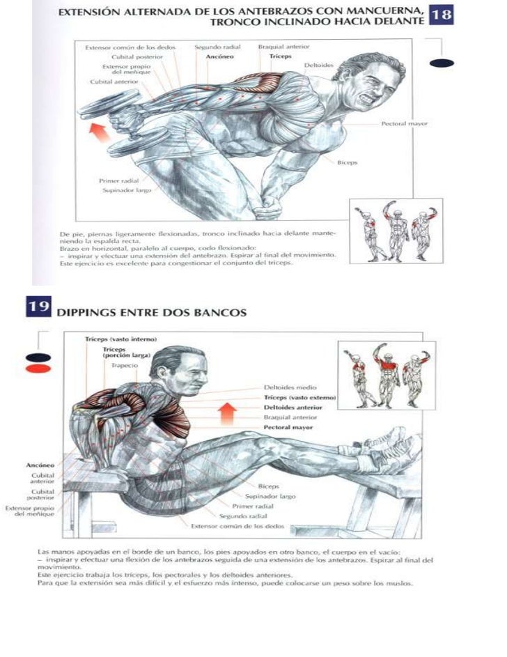 tabla de ejercicios con mancuernas para hacer en casa ejercicios para gym tabla de ejercicios con mancuernas para hacer en casa ejercicios para gym