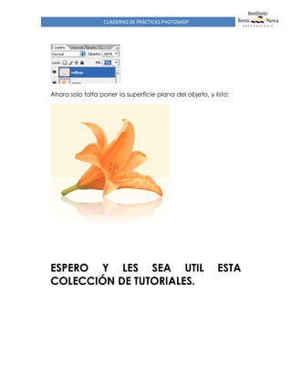 CUADERNO DE PRÁCTICAS PHOTOSHOP
Ahora solo falta poner la superficie plana del objeto, y listo:
ESPERO Y LES SEA UTIL ESTA
COLECCIÓN DE TUTORIALES.
 