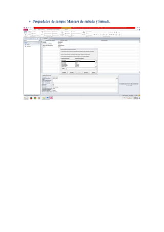  Propiedades de campo: Mascara de entrada y formato.
 