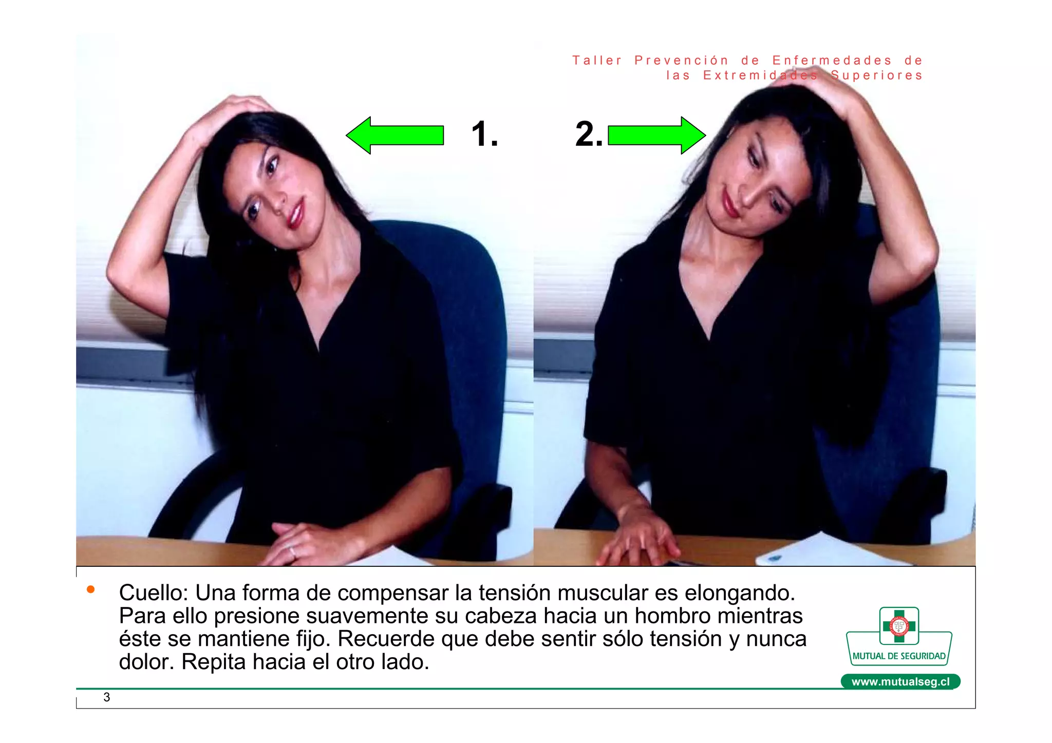 Ejercicios Prácticos De Elongación