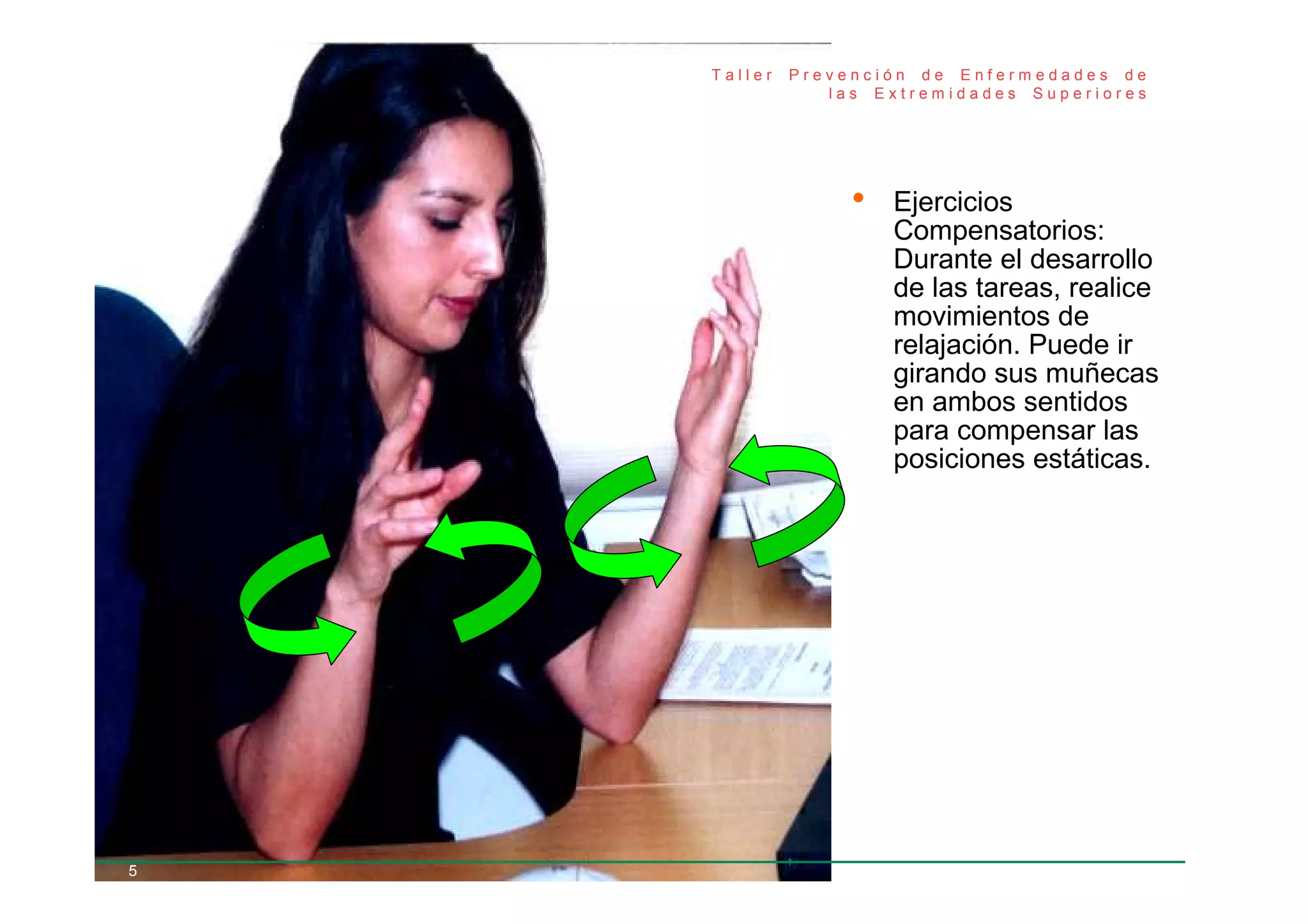 Ejercicios Prácticos De Elongación