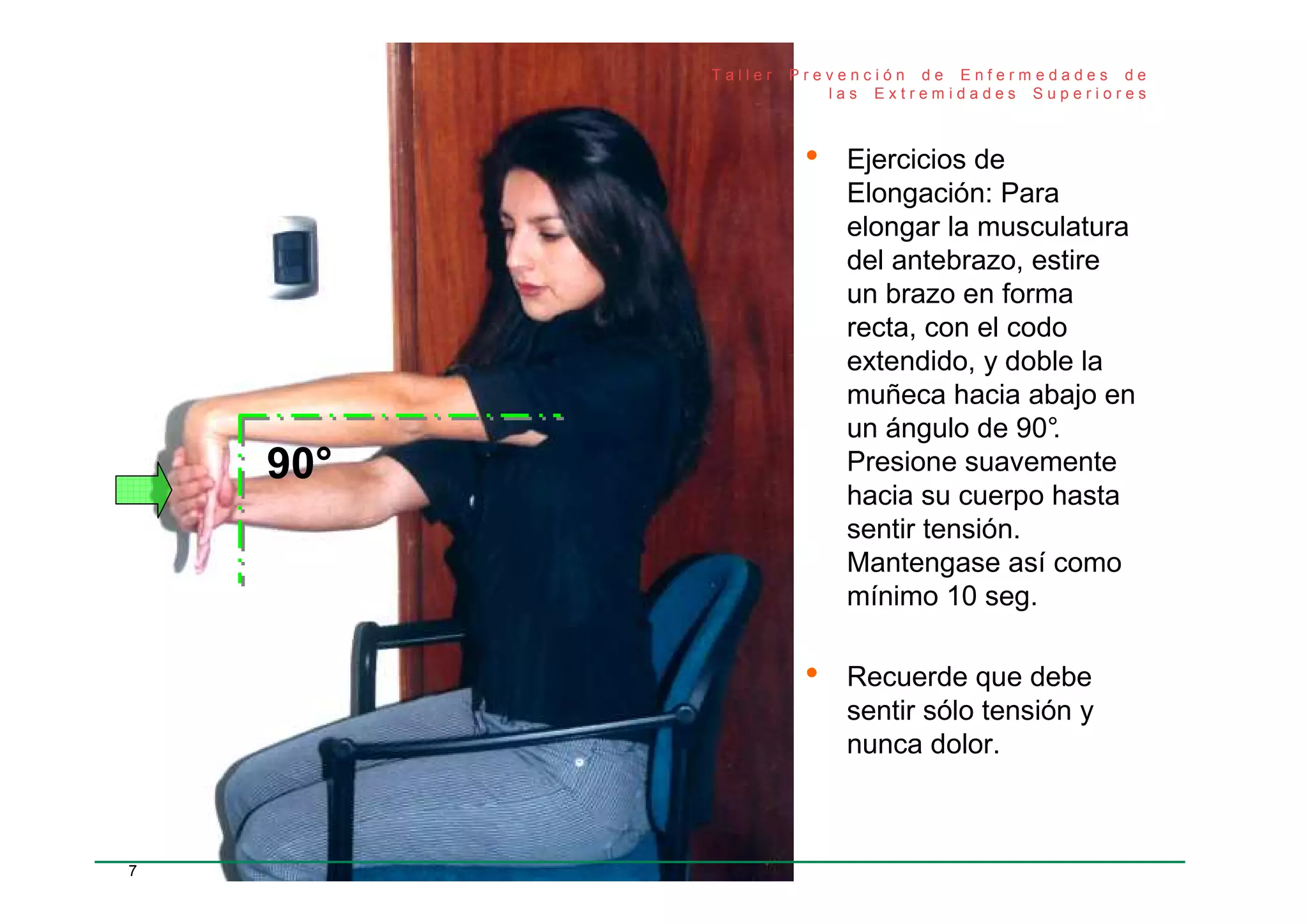 Ejercicios Prácticos De Elongación