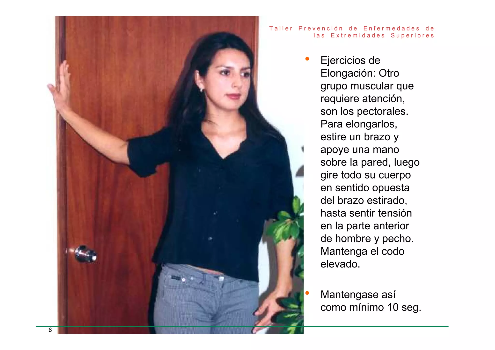 Ejercicios Prácticos De Elongación