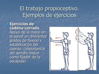 El trabajo propioceptivo.
           Ejemplos de ejercicios
   Ejercicios de
    cadena cerrada.
    Apoyo de la mano en
    la pared en diferentes
    grados de flexión y
    estabilización del
    cuerpo. (importancia
    del serrato mayor
    como fijador de la
    escápula)
 