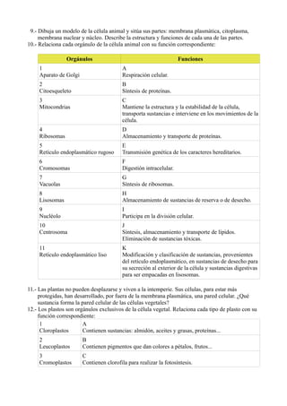 9.- Dibuja un modelo de la célula animal y sitúa sus partes: membrana plasmática, citoplasma,
     membrana nuclear y núcleo. Describe la estructura y funciones de cada una de las partes.
10.- Relaciona cada orgánulo de la célula animal con su función correspondiente:

                 Orgánulos                                          Funciones
     1                                    A
     Aparato de Golgi                     Respiración celular.
     2                                    B
     Citoesqueleto                        Síntesis de proteínas.
     3                                    C
     Mitocondrias                         Mantiene la estructura y la estabilidad de la célula,
                                          transporta sustancias e interviene en los movimientos de la
                                          célula.
     4                                    D
     Ribosomas                            Almacenamiento y transporte de proteínas.
     5                                    E
     Retículo endoplasmático rugoso       Transmisión genética de los caracteres hereditarios.
     6                                    F
     Cromosomas                           Digestión intracelular.
     7                                    G
     Vacuolas                             Síntesis de ribosomas.
     8                                    H
     Lisosomas                            Almacenamiento de sustancias de reserva o de desecho.
     9                                    I
     Nucléolo                             Participa en la división celular.
     10                                   J
     Centrosoma                           Síntesis, almacenamiento y transporte de lípidos.
                                          Eliminación de sustancias tóxicas.
     11                                   K
     Retículo endoplasmático liso         Modificación y clasificación de sustancias, provenientes
                                          del retículo endoplasmático, en sustancias de desecho para
                                          su secreción al exterior de la célula y sustancias digestivas
                                          para ser empacadas en lisosomas.

11.- Las plantas no pueden desplazarse y viven a la intemperie. Sus células, para estar más
     protegidas, han desarrollado, por fuera de la membrana plasmática, una pared celular. ¿Qué
     sustancia forma la pared celular de las células vegetales?
12.- Los plastos son orgánulos exclusivos de la célula vegetal. Relaciona cada tipo de plasto con su
     función correspondiente:
      1                 A
      Cloroplastos      Contienen sustancias: almidón, aceites y grasas, proteínas...
     2                  B
     Leucoplastos       Contienen pigmentos que dan colores a pétalos, frutos...
     3                  C
     Cromoplastos       Contienen clorofila para realizar la fotosíntesis.
 