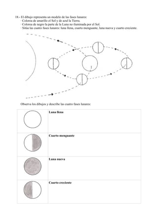 18.- El dibujo representa un modelo de las fases lunares:
     · Colorea de amarillo el Sol y de azul la Tierra.
     · Colorea de negro la parte de la Luna no iluminada por el Sol.
     · Sitúa las cuatro fases lunares: luna llena, cuarto menguante, luna nueva y cuarto creciente.




    Observa los dibujos y describe las cuatro fases lunares:

                           Luna llena




                           Cuarto menguante




                           Luna nueva




                           Cuarto creciente
 
